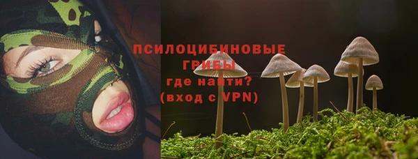 гидра Богородицк
