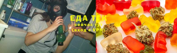 гидра Богородицк