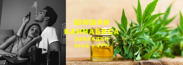 трава Белокуриха