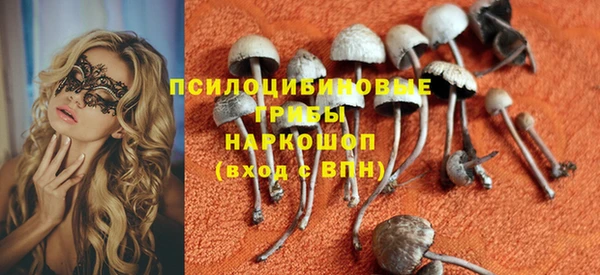 гидра Богородицк