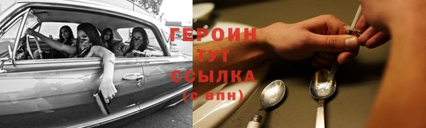гидра Богородицк