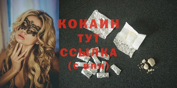 гидра Богородицк