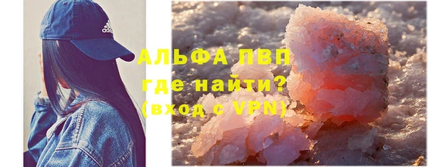 гидра Богородицк
