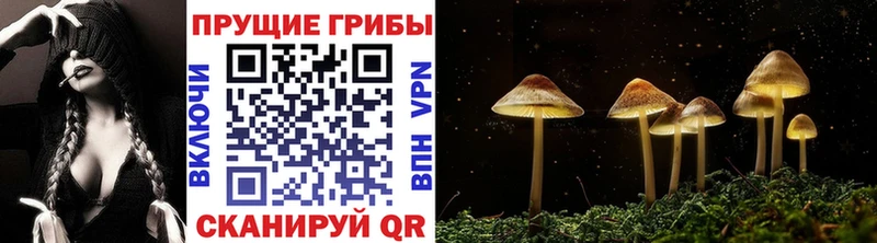 продажа наркотиков  Белоозёрский  mega ССЫЛКА  Галлюциногенные грибы мицелий 